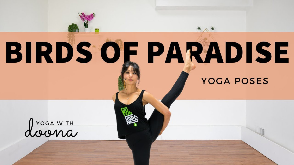 How to Birds of Paradise  Svarga Dvijasana  Perfecting Your Alignment   Yoga with Doona