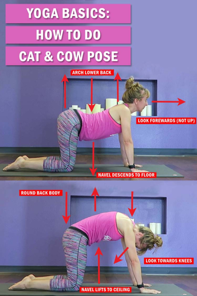 How to do Cat Cow pose - Yoga Basics: learn the technique & benefits